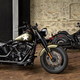 Illustration for article titled The 2016 Harley-Davidson Lineup: This Is It
